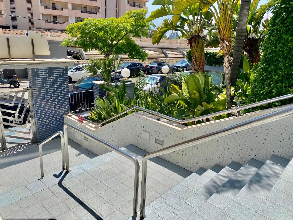 Hipocampo 25-a Apartament